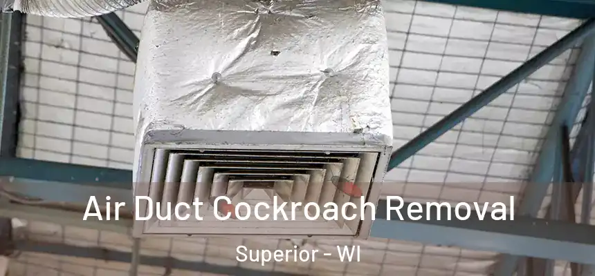  Air Duct Cockroach Removal Superior - WI
