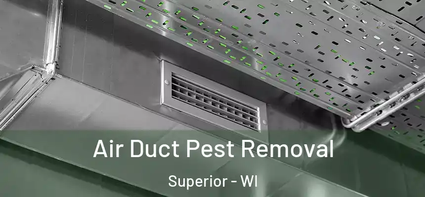  Air Duct Pest Removal Superior - WI