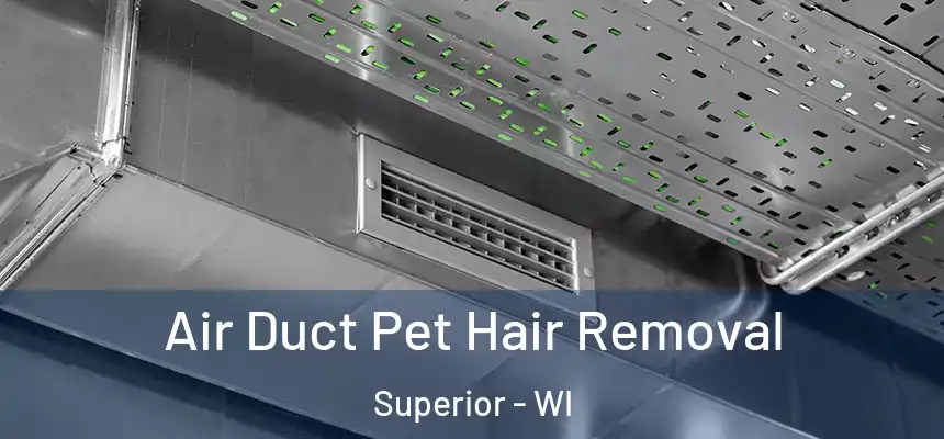 Air Duct Pet Hair Removal Superior - WI