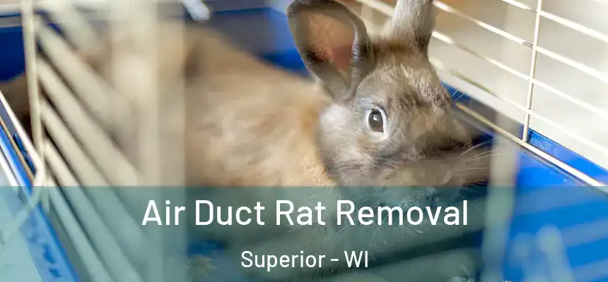  Air Duct Rat Removal Superior - WI