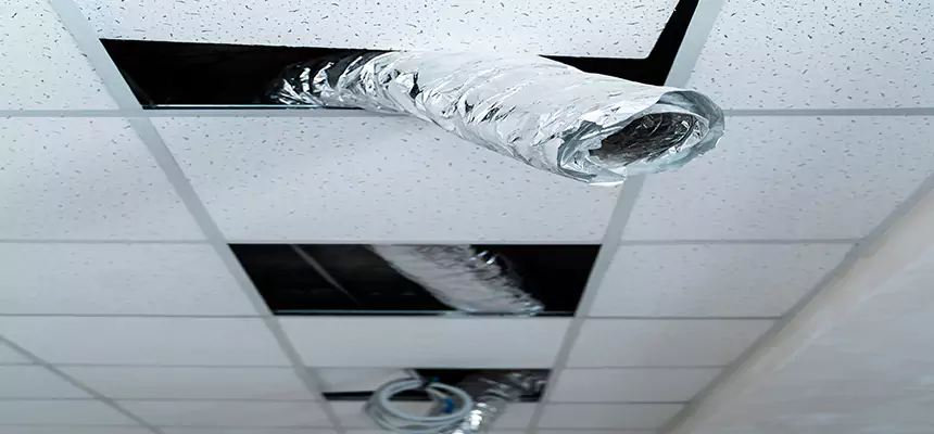 Our Air Duct Pet Hair Removal Services in Superior, WI