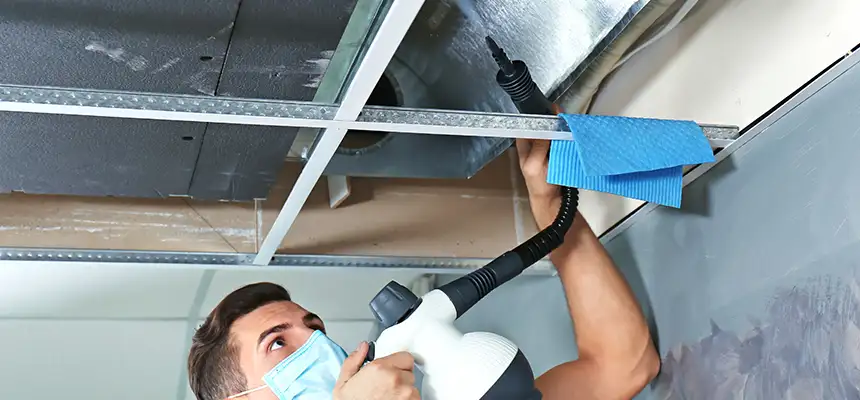 Our Air Duct Rodent Removal Services in Superior, WI
