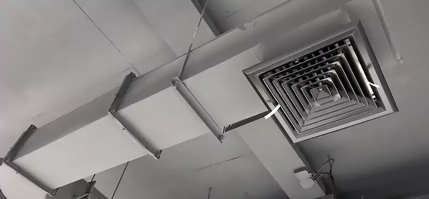 Our Pest Removal From Ducts Services in Superior, WI