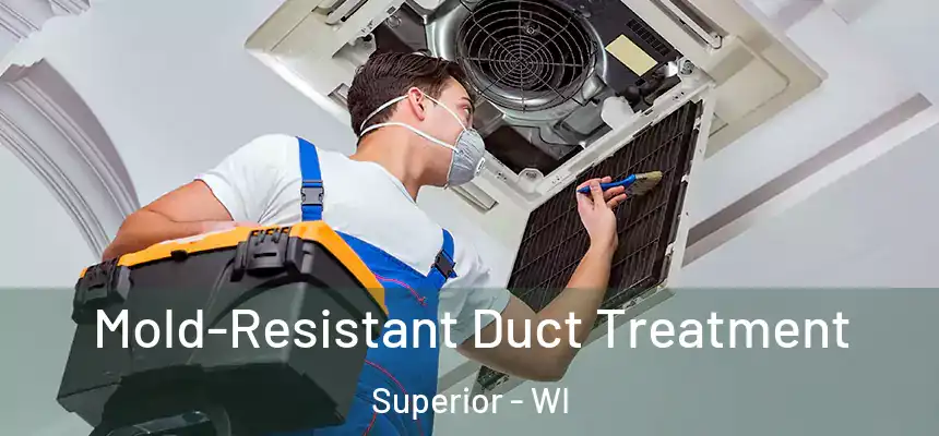  Mold-Resistant Duct Treatment Superior - WI