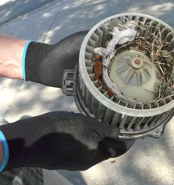 About Air Duct Mice Removal in Superior, WI