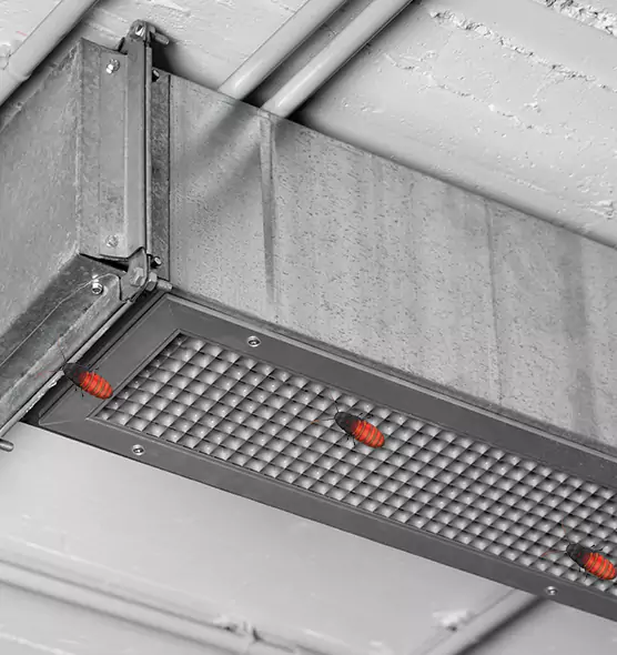 Affordable Insect Removal from Air Ducts in Superior, WI