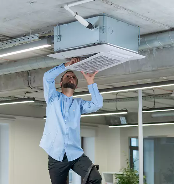 Advanced Rodent Droppings In Vents in Superior, WI