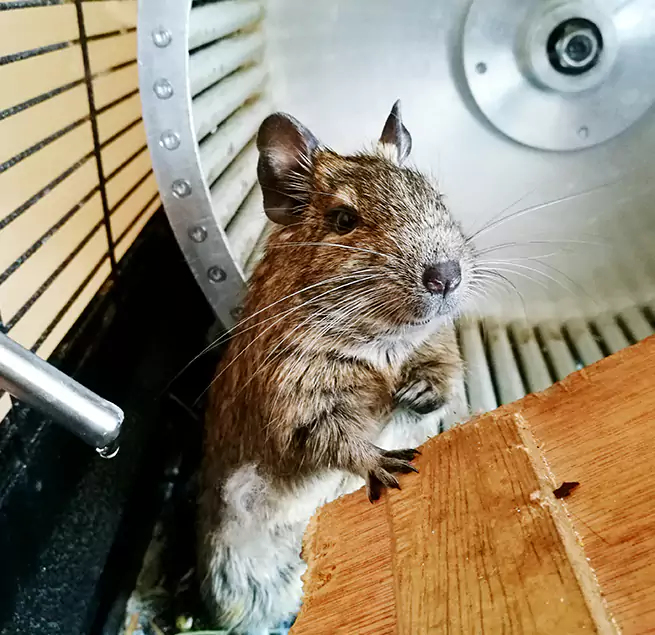 Why Homeowners & Businesses Trust Us Superior, WI?